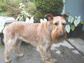 Tempmatilda