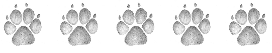 paws